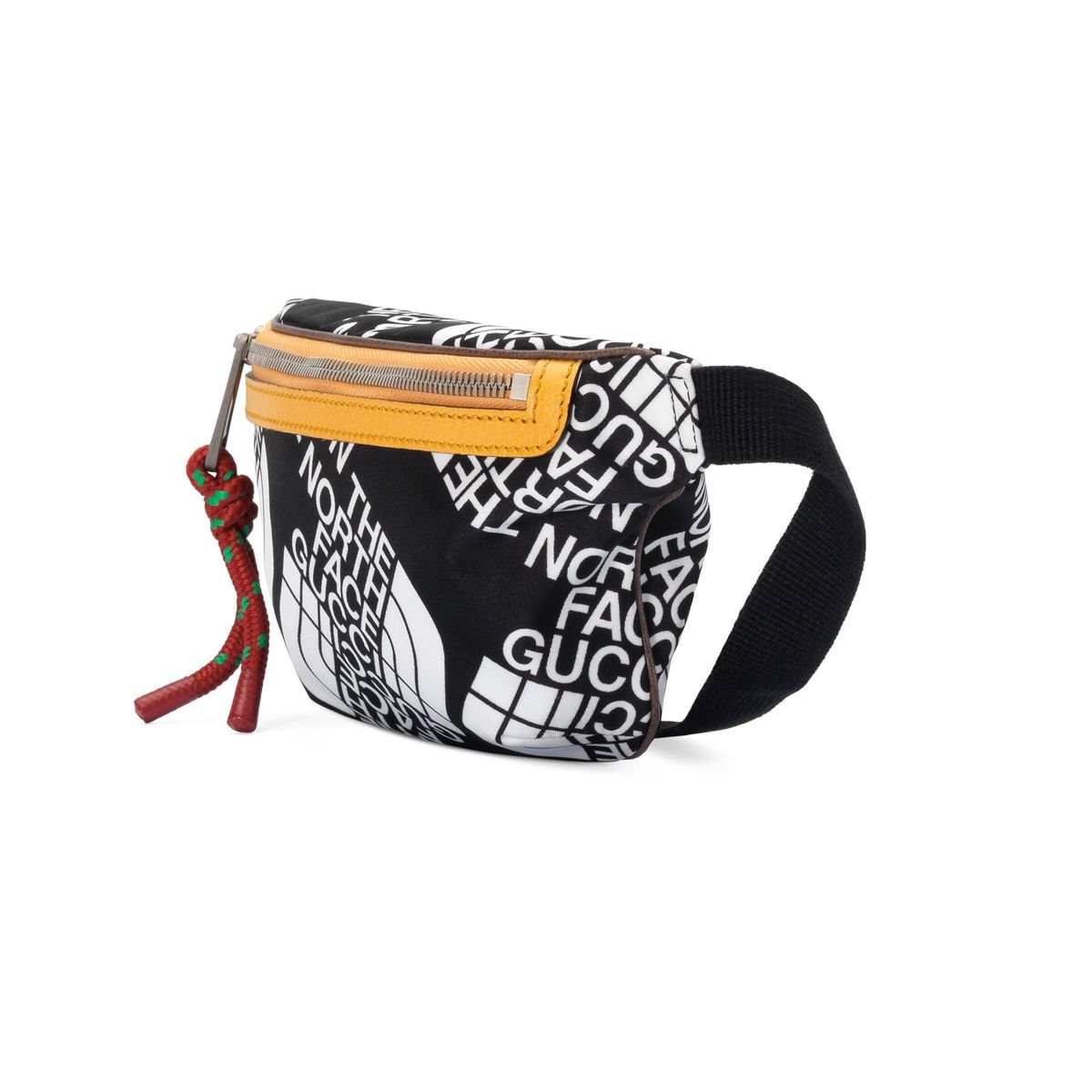 The North Face x Gucci_2